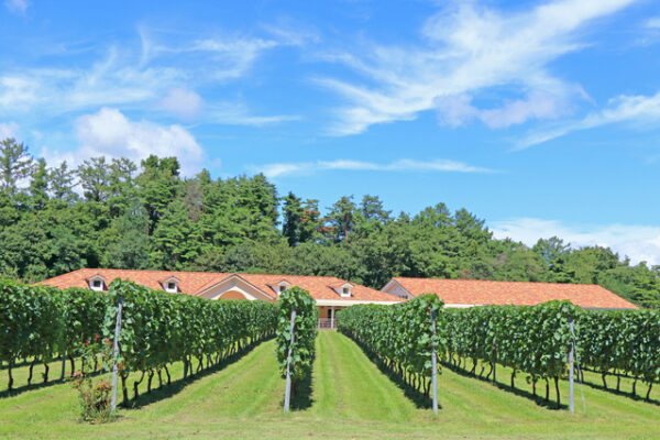安曇野ワイナリー