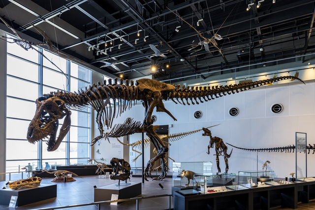 べネックス恐竜博物館(長崎市恐竜博物館)