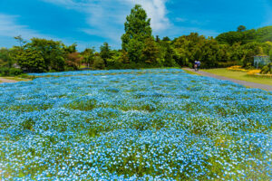 清水公園