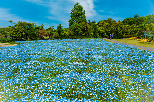 清水公園