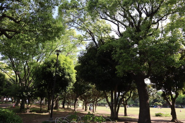 入船公園