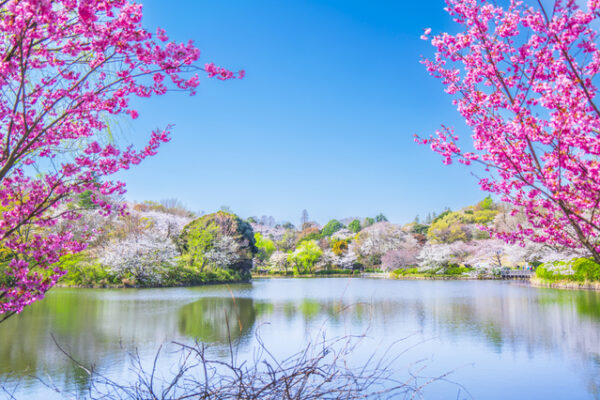 神奈川県立三ツ池公園