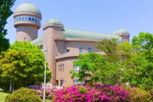 我孫子市鳥の博物館