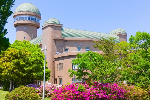 我孫子市鳥の博物館