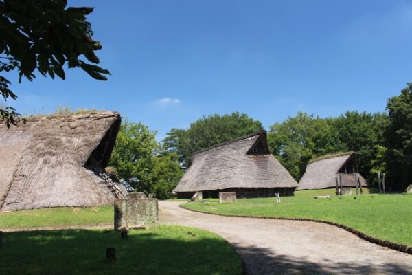 うつのみや遺跡の広場