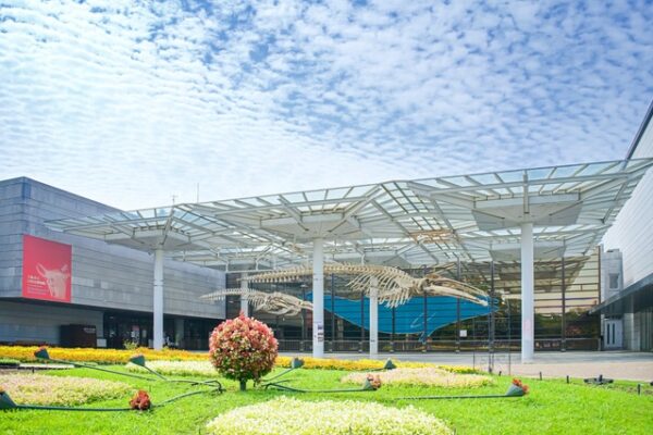 大阪市立自然史博物館