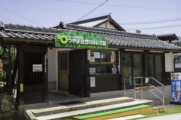 つやま自然のふしぎ館