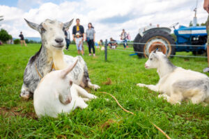 蔵王ハートランド