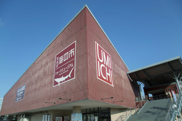 気仙沼シャークミュージアム