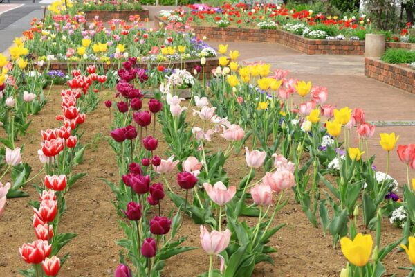 平安公園
