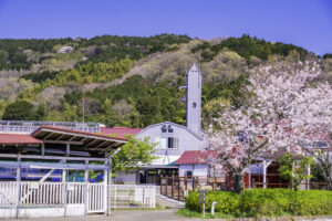 酪農王国オラッチェ