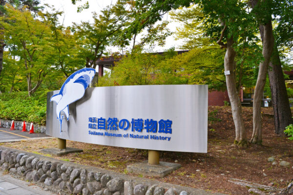 自然の博物館