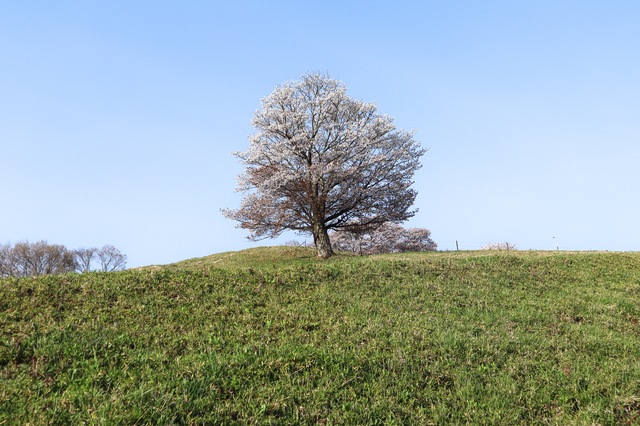 大子ふれあい牧場