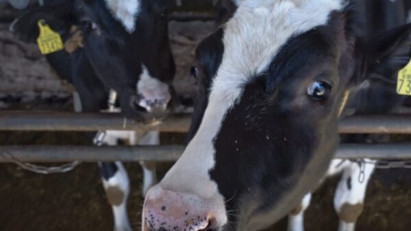 久保アグリファーム