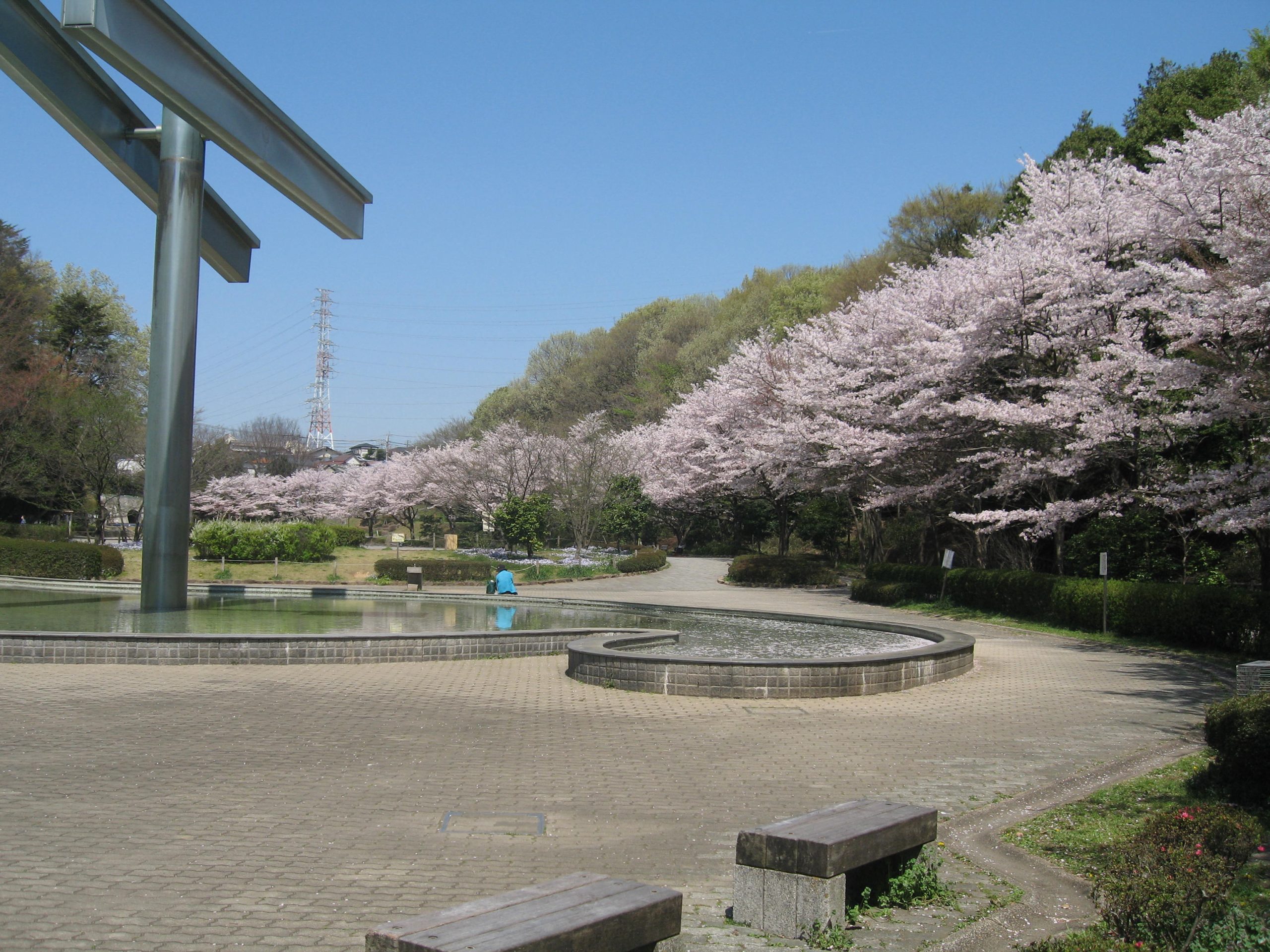 町田のおすすめ公園5選！アスレチックや大型遊具、子供向けなども | なっぷ
