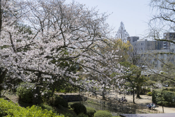 道後公園
