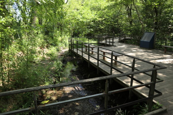 赤羽自然観察公園