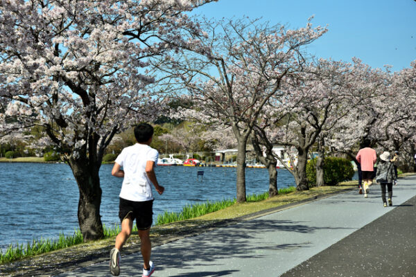 千波湖公園