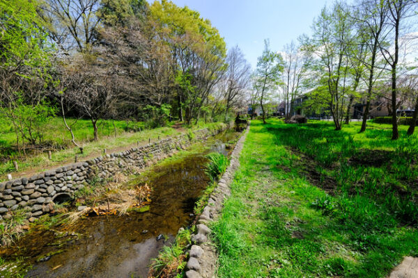 矢川緑地
