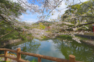 真人公園