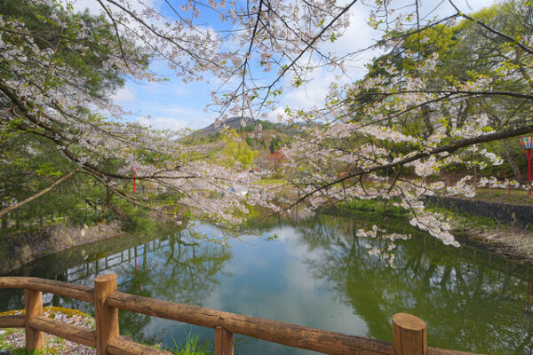 真人公園