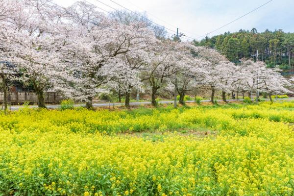 太平山県立自然公園