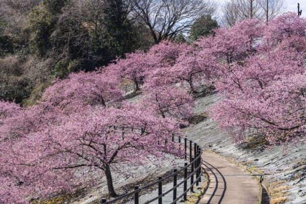 21世紀の森公園