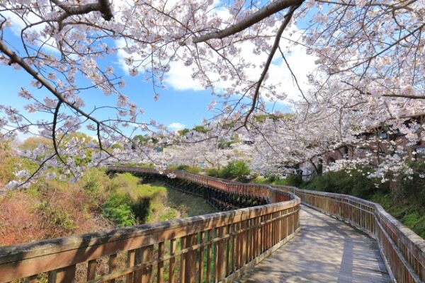 西海橋公園