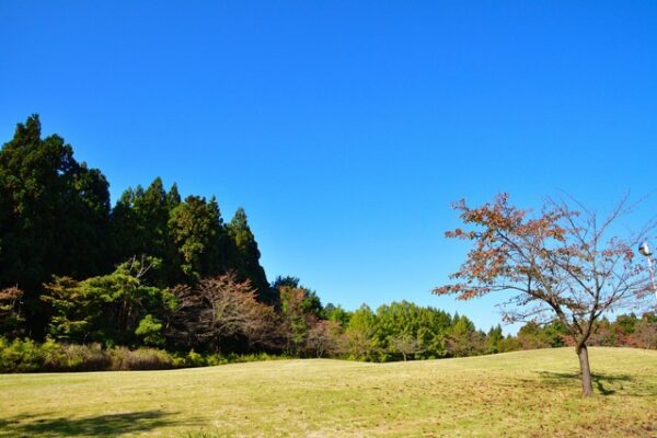 巴ヶ丘自然公園