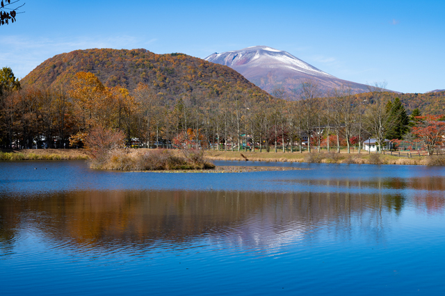 矢ケ崎公園