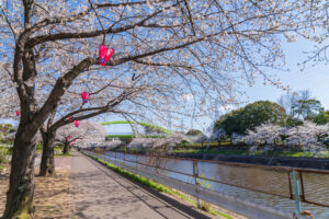 荒子川公園