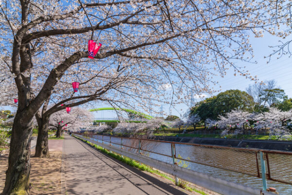 荒子川公園