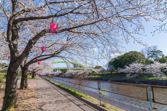 荒子川公園