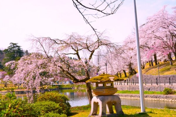 悠久山公園
