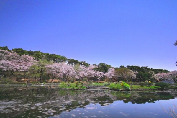 烏ヶ森公園
