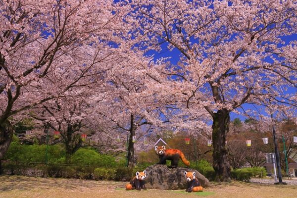 西山公園