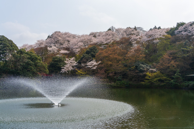 高岡古城公園