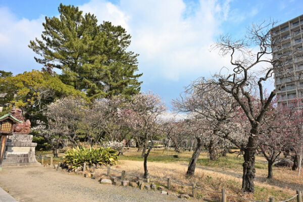 白山公園