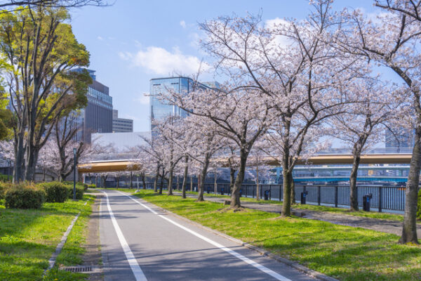 毛馬桜之宮公園
