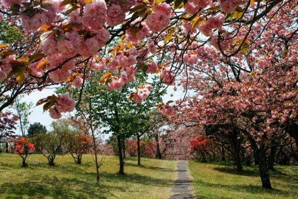 静峰ふるさと公園