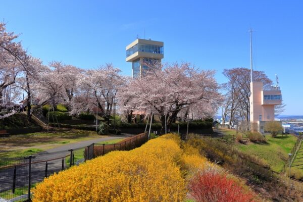 館鼻公園