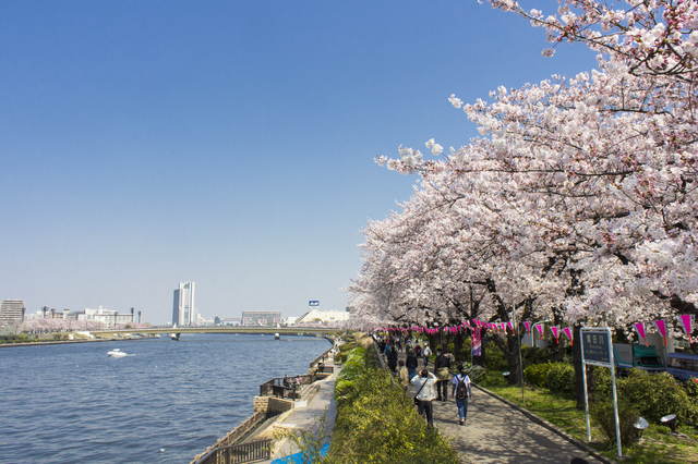 隅田公園
