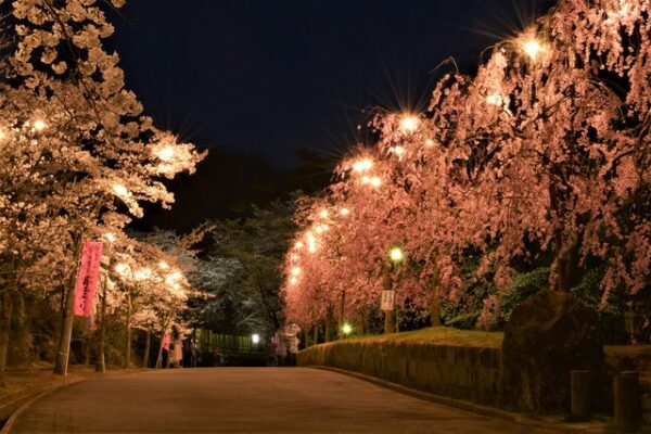 やながわ希望の森公園