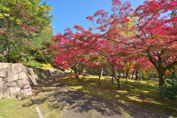 皇子が丘公園