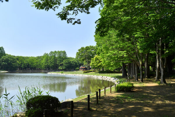 洞峰公園