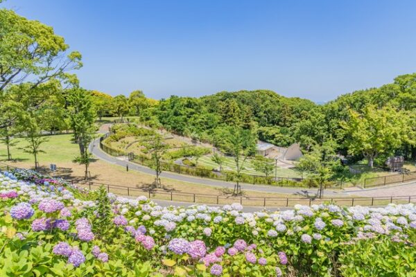 高塔山公園