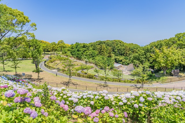 高塔山公園