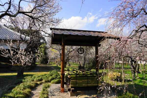弘道館公園