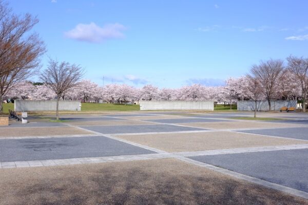 新井田公園