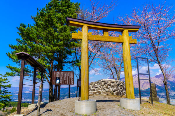 鳥の小塚公園